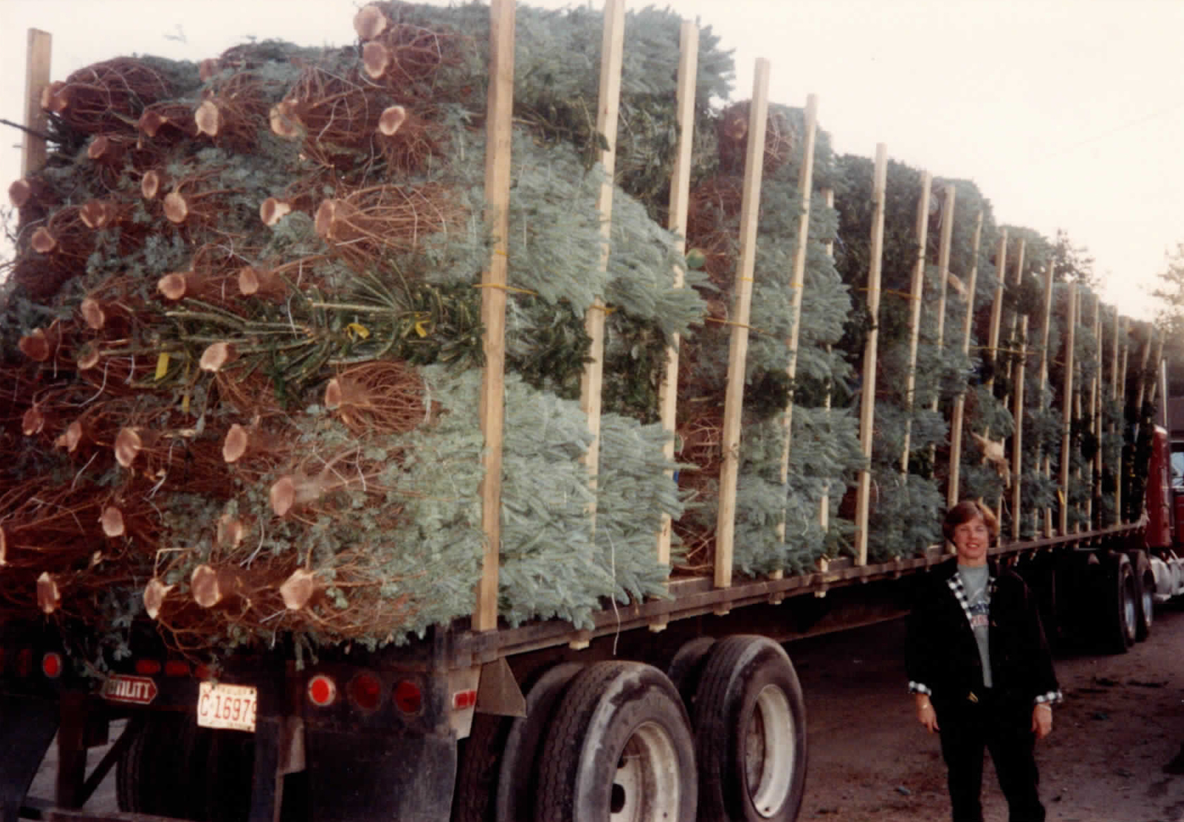 BoydMountainChristmasTreeFarm_scan1