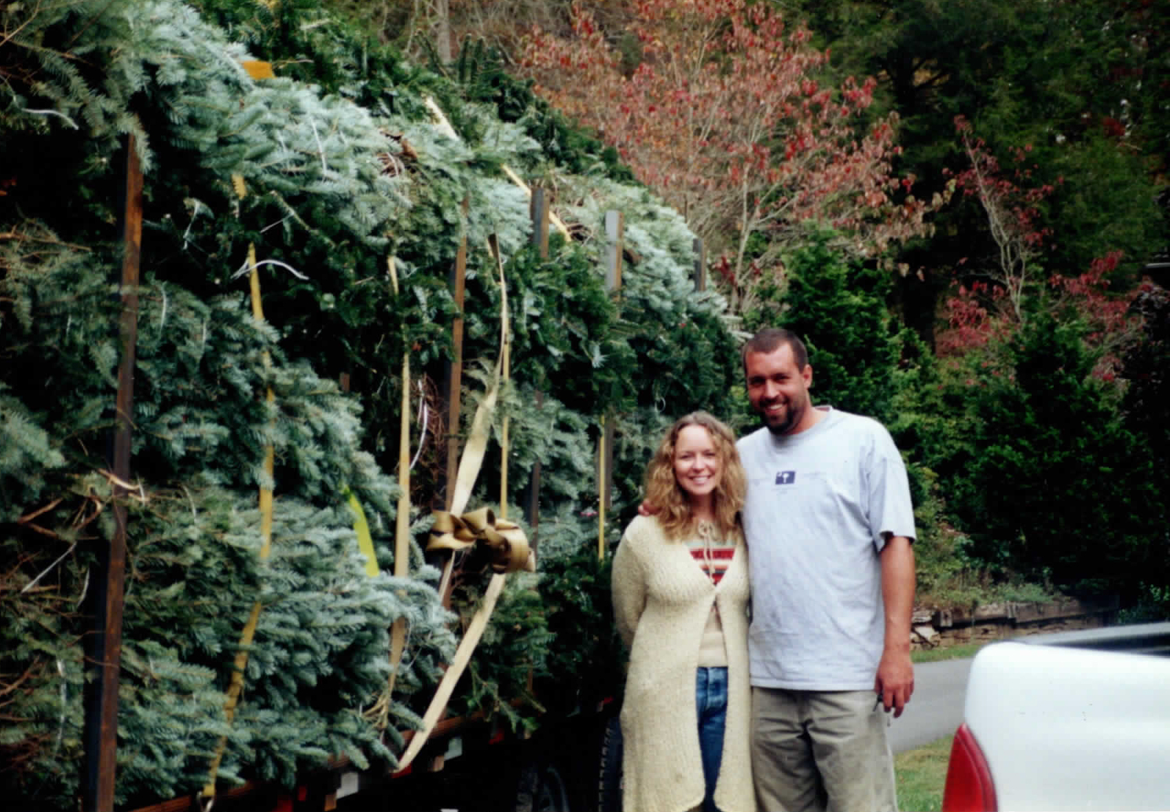 BoydMountainChristmasTreeFarm_scan12