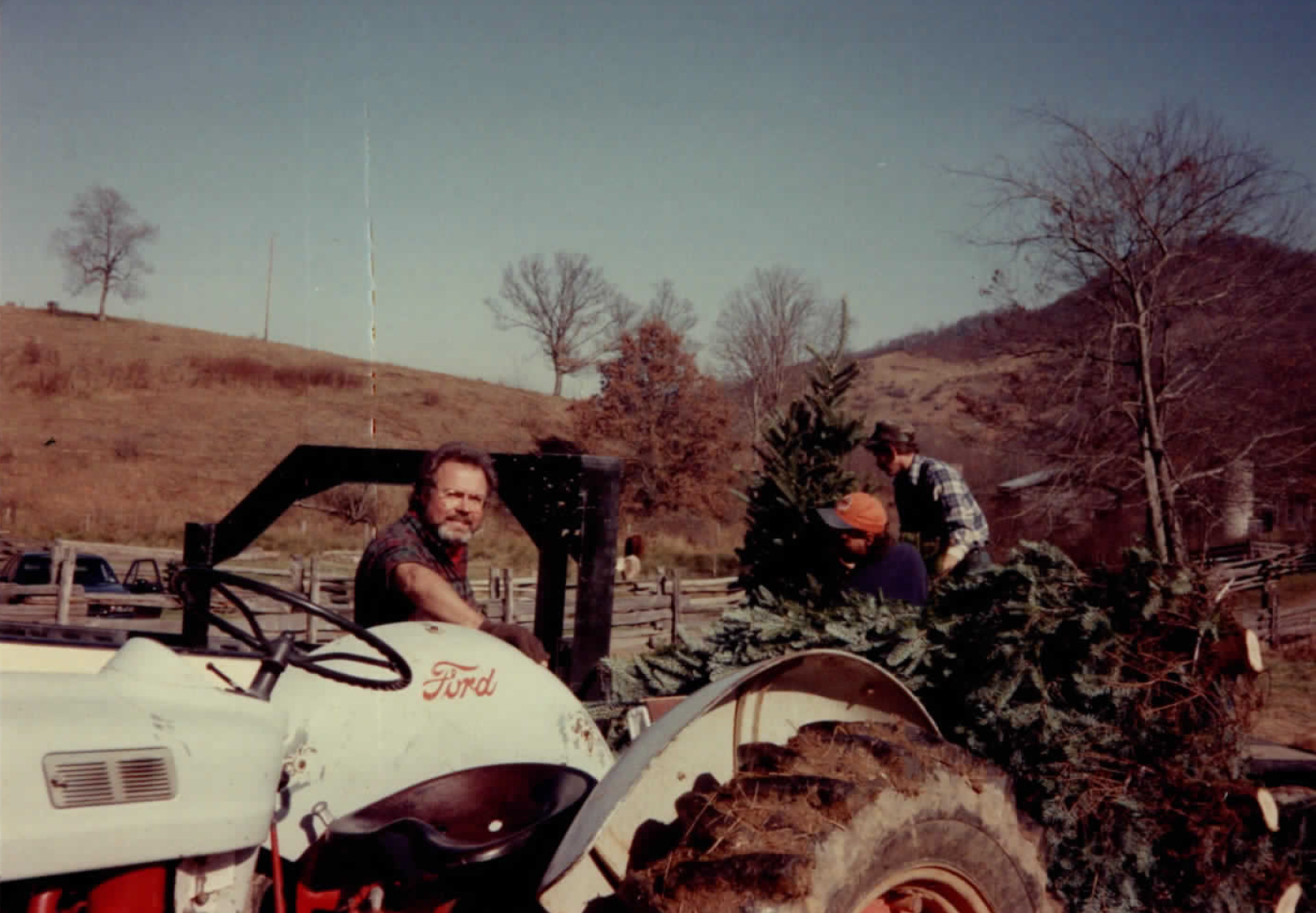 BoydMountainChristmasTreeFarm_scan5