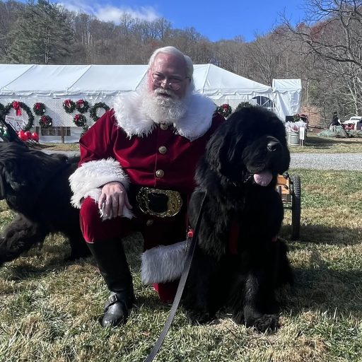 BoydMountainChristmasTreeFarm_new13