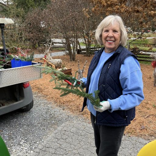 boyd-mountain-christmas-tree-farm-44