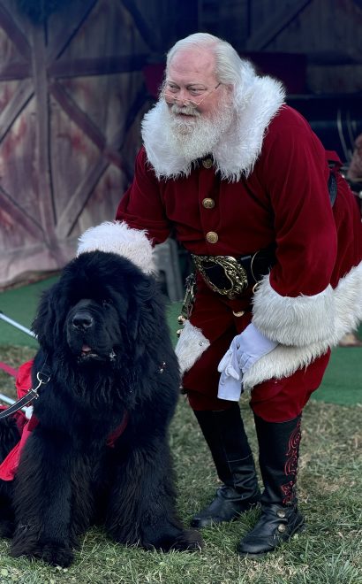 boyd-mountain-christmas-tree-farm-7